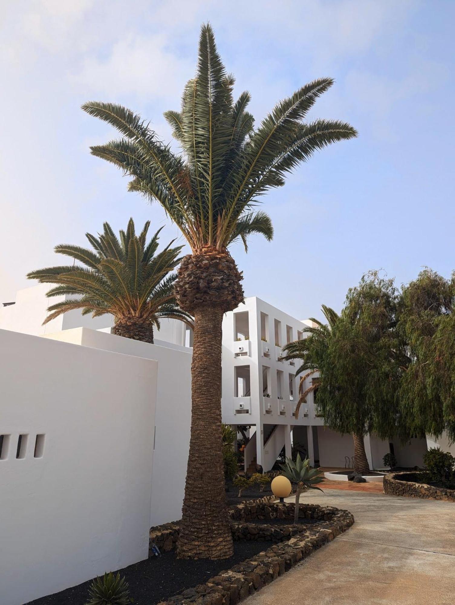 Charming Flat In Los Molinos With Terrace & Pools, Near Playa Bastian Costa Teguise Eksteriør billede